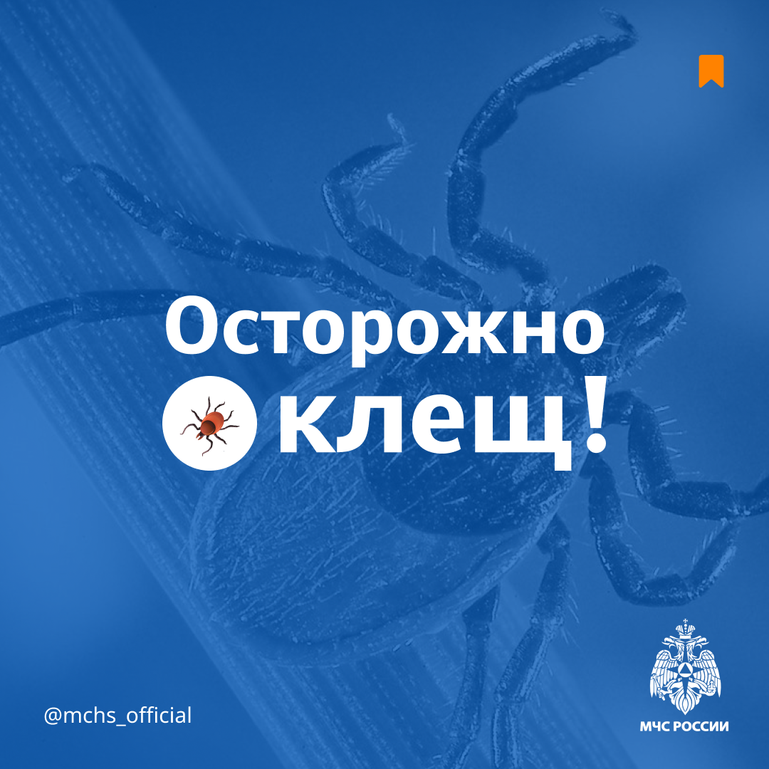Осторожно, клещи!.